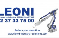LOGO LEONI POUR CHARTRES FOOTBALL CLUB