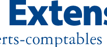 logo ie.jpg